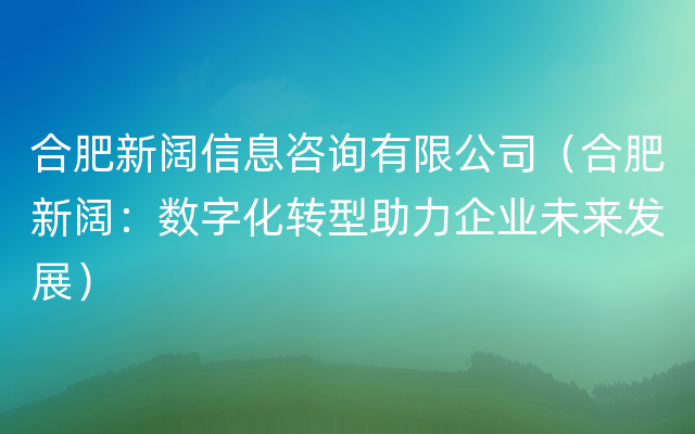 合肥新阔信息咨询有限公司（合肥新阔：数字化转型助力企业未来发展）