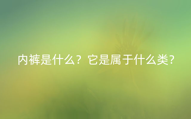 内裤是什么？它是属于什么类？