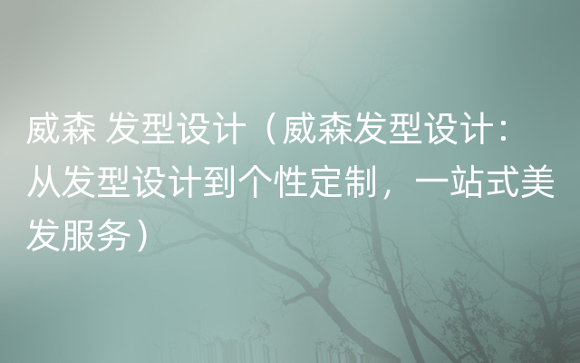 威森 发型设计（威森发型设计：从发型设计到个性定制，一站式美发服务）