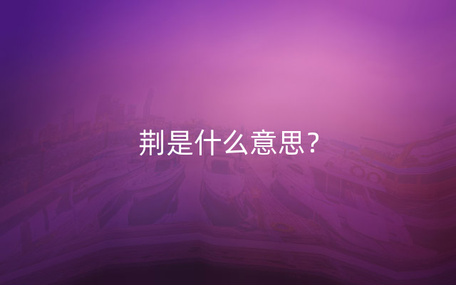 荆是什么意思？