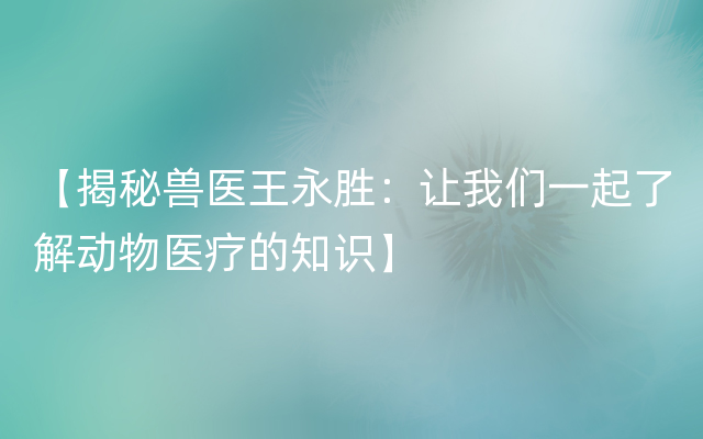 【揭秘兽医王永胜：让我们一起了解动物医疗的知识】