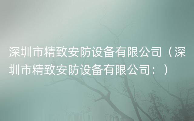 深圳市精致安防设备有限公司（深圳市精致安防设备