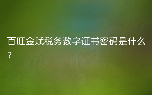 百旺金赋税务数字证书密码是什么？