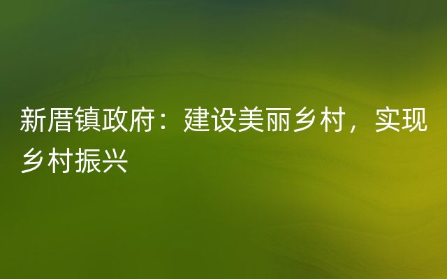 新厝镇政府：建设美丽乡村，实现乡村振兴