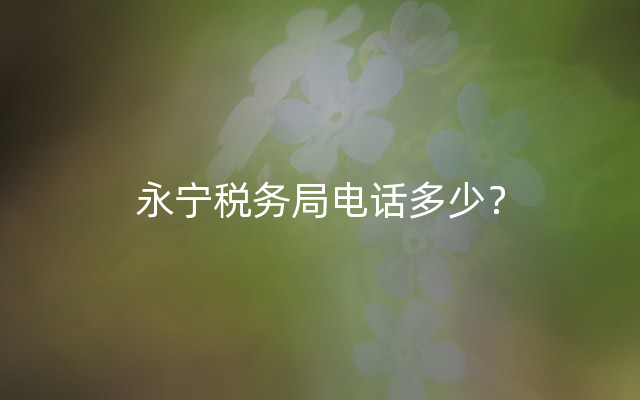 永宁税务局电话多少？