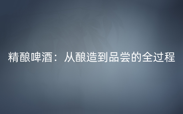 精酿啤酒：从酿造到品尝的全过程