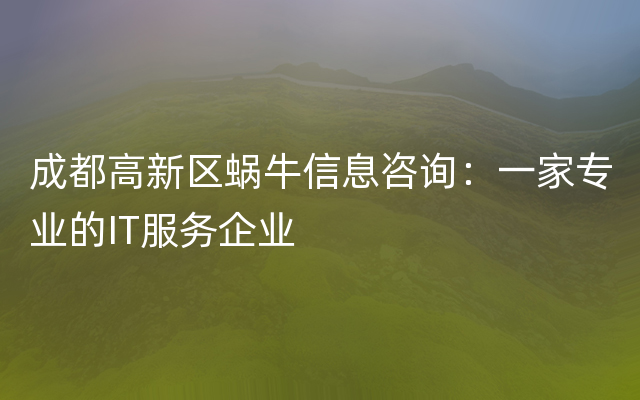 成都高新区蜗牛信息咨询：一家专业的IT服务企业