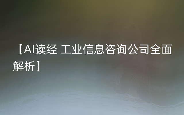 【AI读经 工业信息咨询公司全面解析】