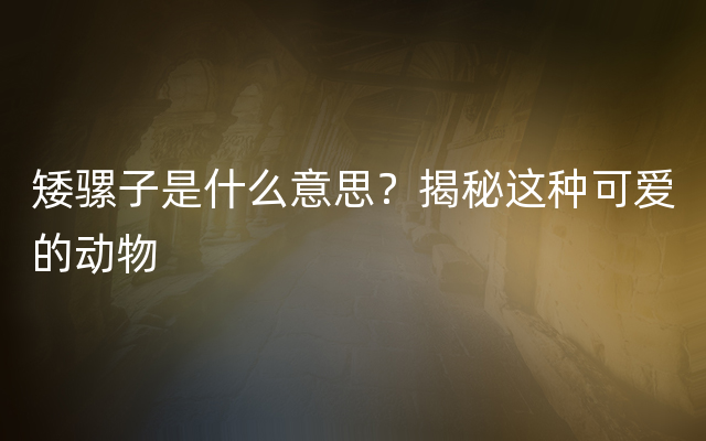 矮骡子是什么意思？揭秘这种可爱的动物