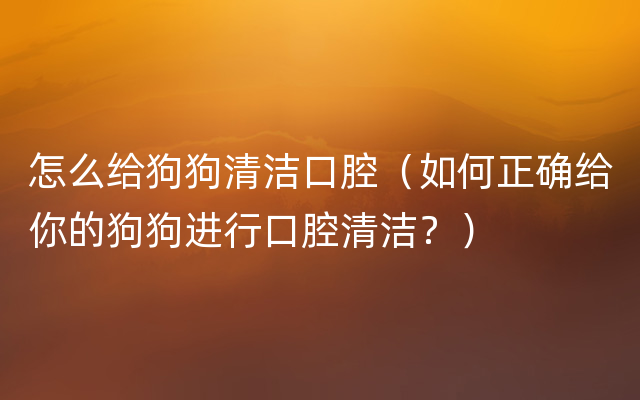 怎么给狗狗清洁口腔（如何正确给你的狗狗进行口腔清洁？）