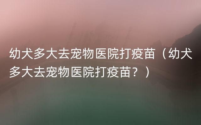 幼犬多大去宠物医院打疫苗（幼犬多大去宠物医院打疫苗？）