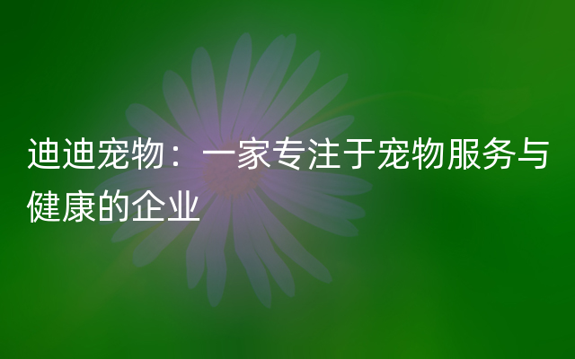 迪迪宠物：一家专注于宠物服务与健康的企业