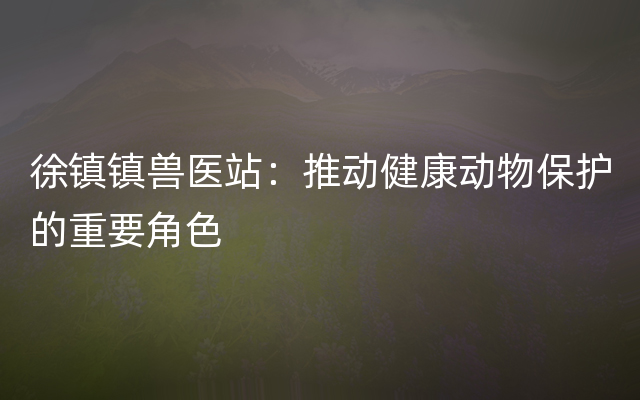 徐镇镇兽医站：推动健康动物保护的重要角色