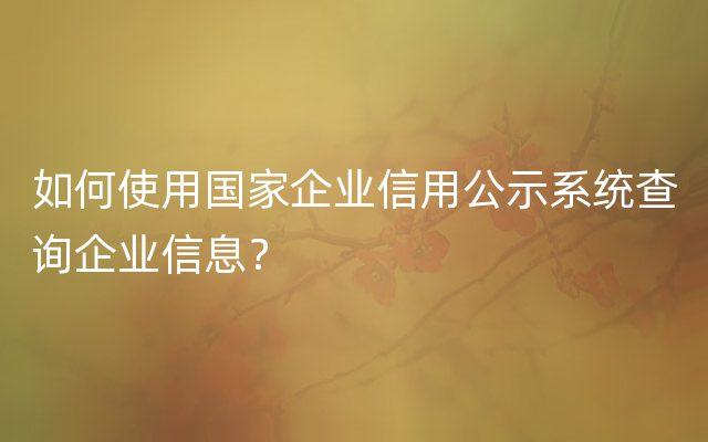 如何使用国家企业信用公示系统查询企业信息？