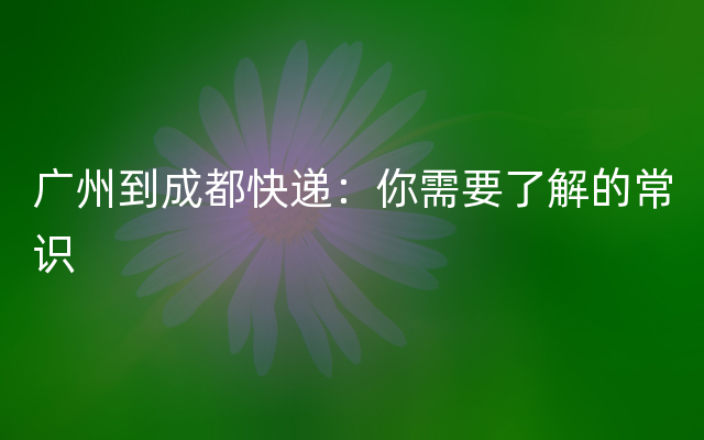 广州到成都快递：你需要了解的常识