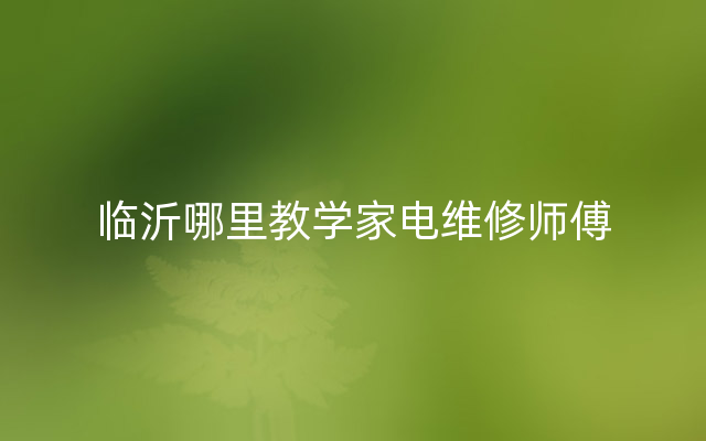 临沂哪里教学家电维修师傅