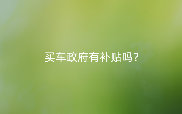 买车政府有补贴吗？