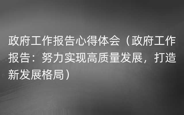 政府工作报告心得体会（政府工作报告：努力实现高质量发展，打造新发展格局）