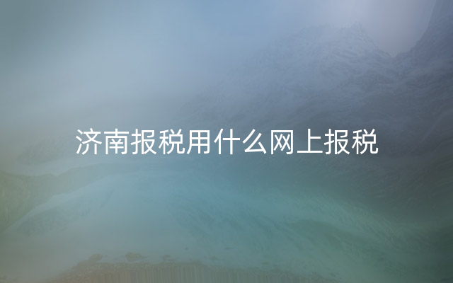 济南报税用什么网上报税