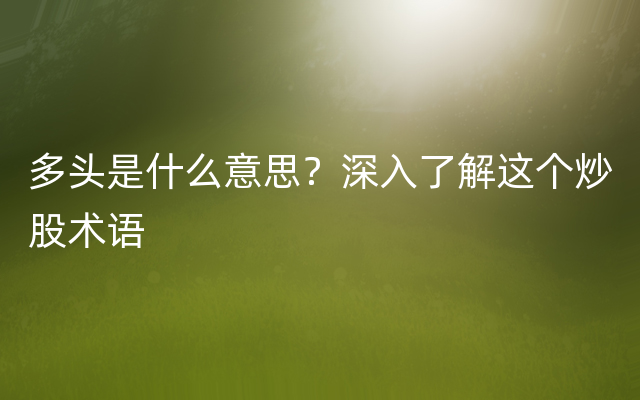 多头是什么意思？深入了解这个炒股术语