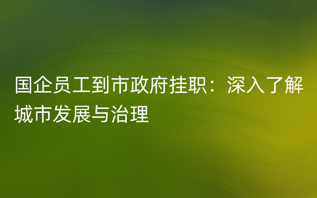 国企员工到市政府挂职：深入了解城市发展与治理