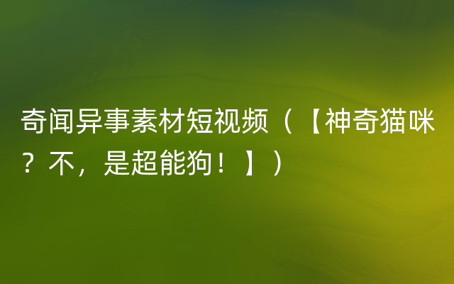 奇闻异事素材短视频（【神奇猫咪？不，是超能狗！】）