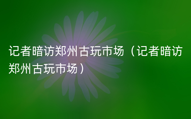 记者暗访郑州古玩市场（记者暗访郑州古玩市场）