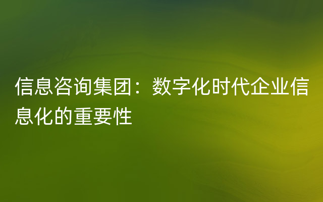 信息咨询集团：数字化时代企业信息化的重要性