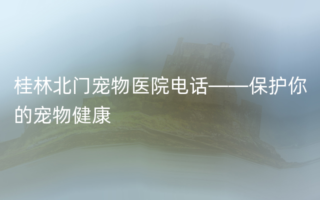 桂林北门宠物医院电话——保护你的宠物健康