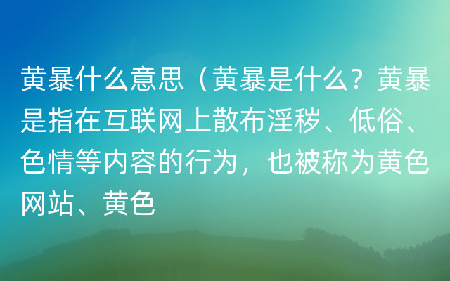 黄暴什么意思（黄暴是什么？黄暴是指在互联网上散布淫秽、低俗、色情等内容的行为，也