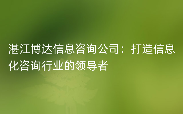 湛江博达信息咨询公司：打造信息化咨询行业的领导者