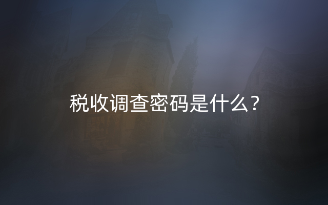 税收调查密码是什么？