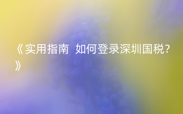 《实用指南  如何登录深圳国税？》