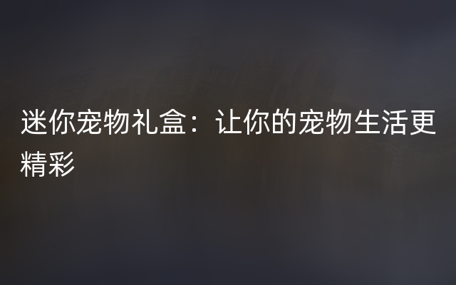 迷你宠物礼盒：让你的宠物生活更精彩