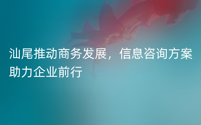 汕尾推动商务发展，信息咨询方案助力企业前行