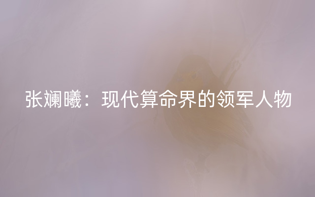 张斓曦：现代算命界的领军人物