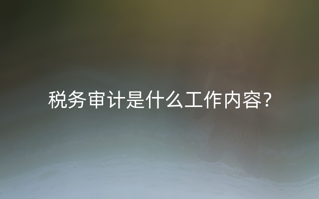 税务审计是什么工作内容？