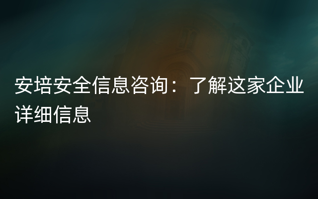 安培安全信息咨询：了解这家企业详细信息