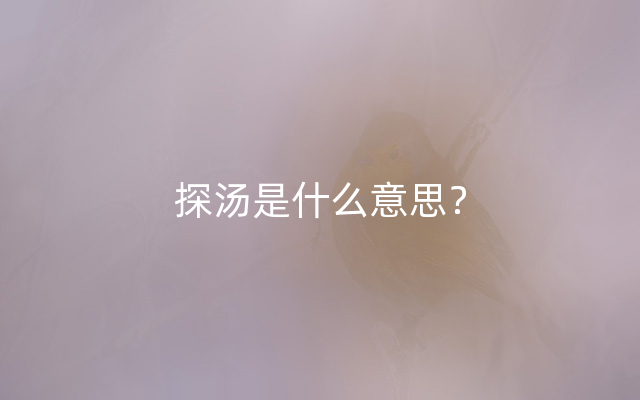 探汤是什么意思？