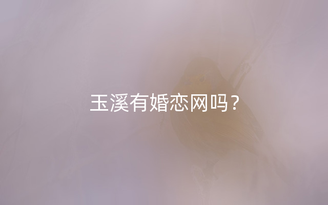 玉溪有婚恋网吗？