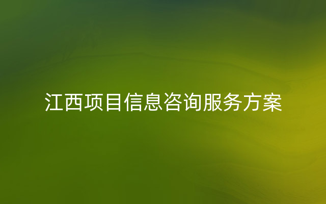 江西项目信息咨询服务方案