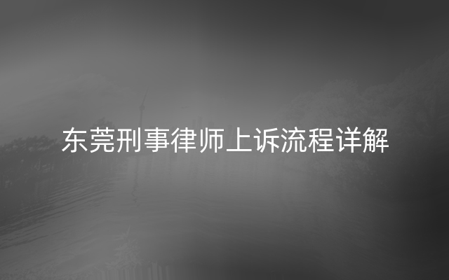 东莞刑事律师上诉流程详解