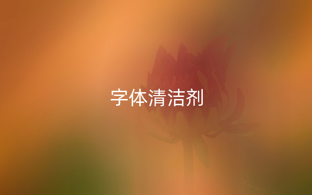 字体清洁剂