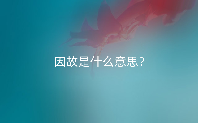 因故是什么意思？