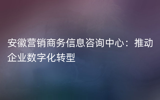 安徽营销商务信息咨询中心：推动企业数字化转型
