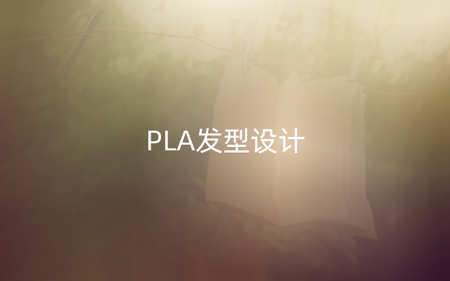 PLA发型设计