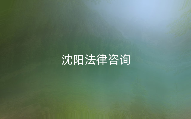 沈阳法律咨询