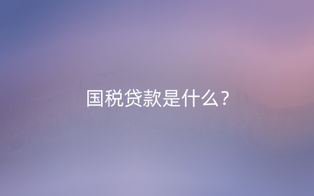 国税贷款是什么？