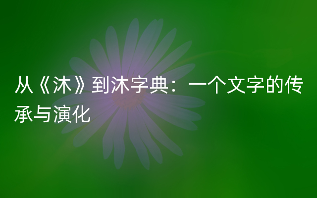 从《沐》到沐字典：一个文字的传承与演化