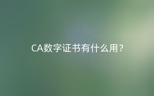 CA数字证书有什么用？